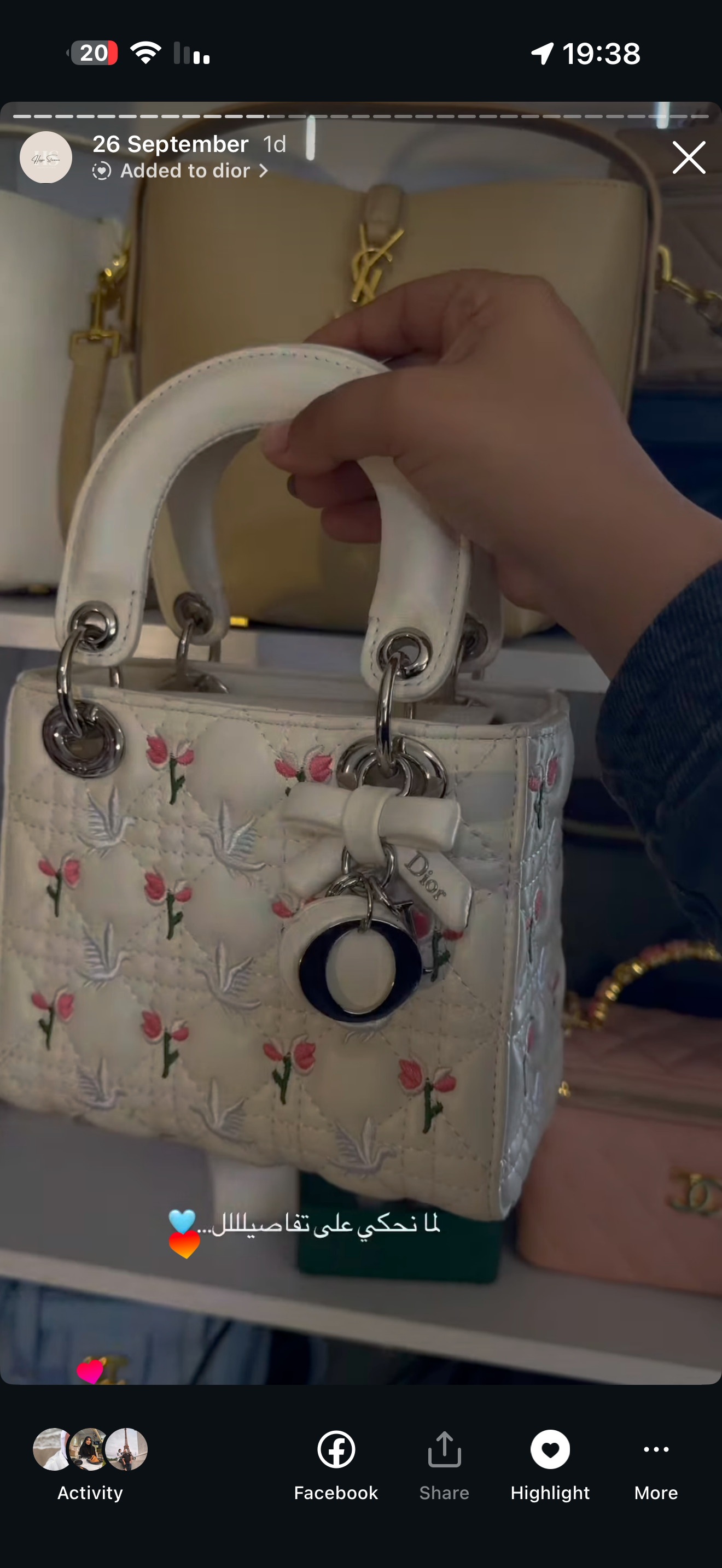 Lady dior